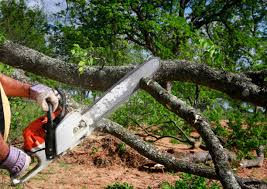 Best Storm Damage Tree Cleanup  in Dellwood, MO